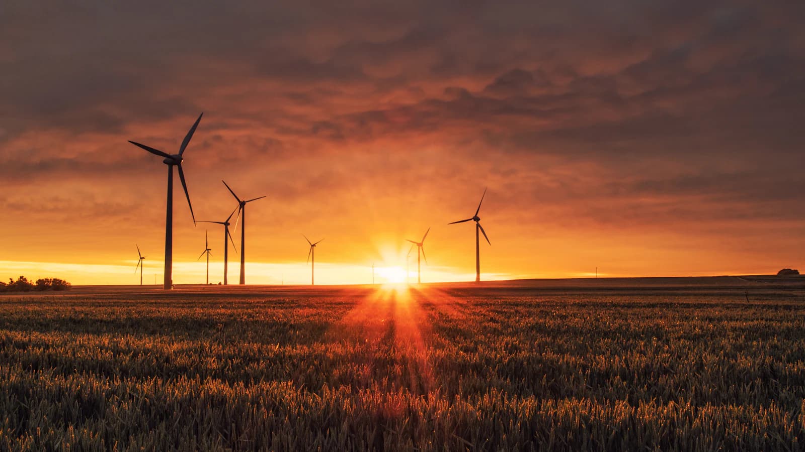 Energy Environment and Society