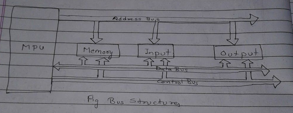 Bus Structure