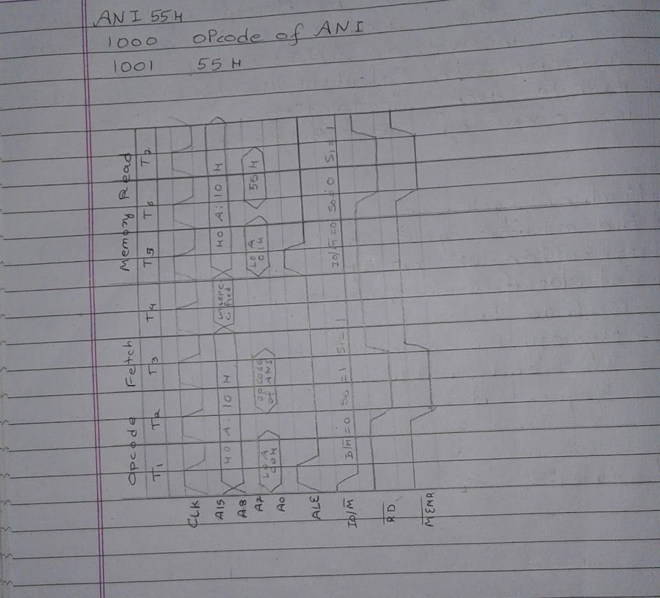 Original ANI 55H instruction bytes and bus timing diagram